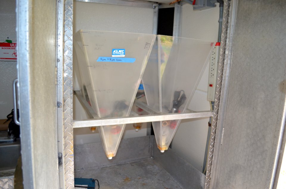 Genoa NFH Brine Shrimp Feeder