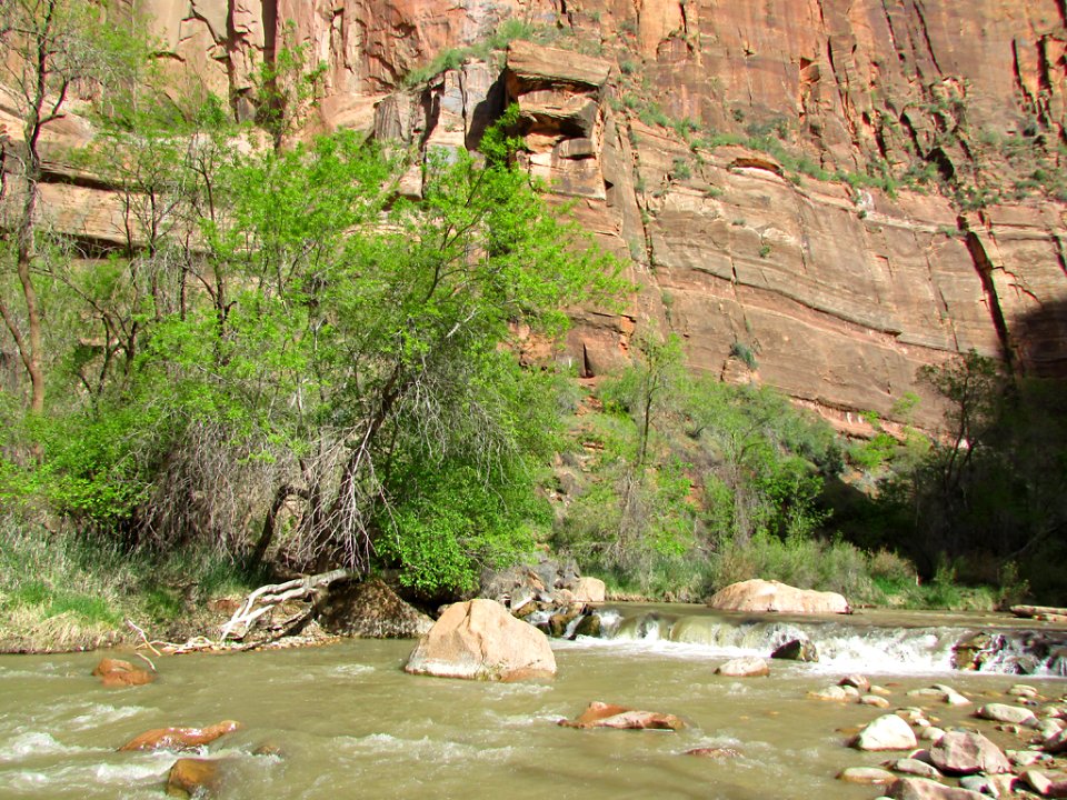 Zion NP in UT