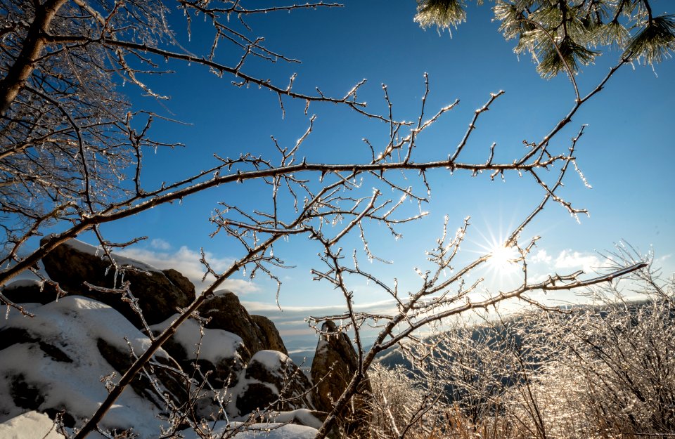 Ancient Rocks Through Icy Branches