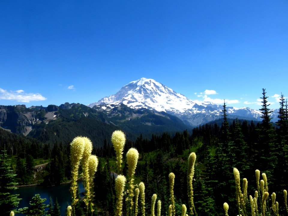 Tolmie Peak Trail at Mt. Rainier NP in WA