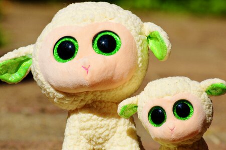 Nature lamb cute