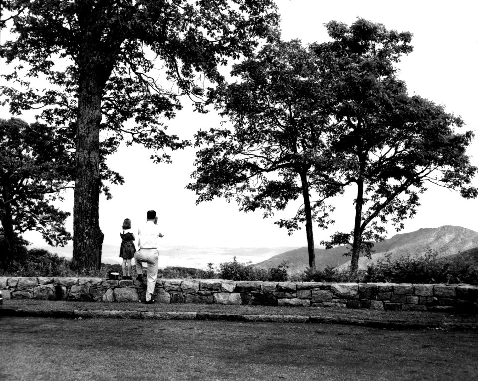 Tourist at overlook (Historic photo)