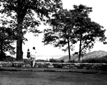 Tourist at overlook (Historic photo)