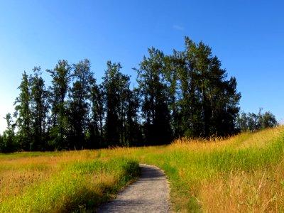 Steigerwald Lake NWR in WA