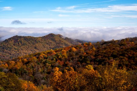 Sublime Fall Scene at Thornton Hollow photo