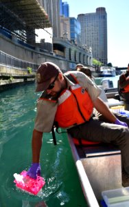 eDNA Water Sampling