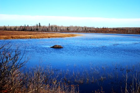 Beaver Lodge photo