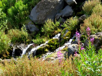 Truman / Loowit Trail at Mt. St. Helens NM in WA