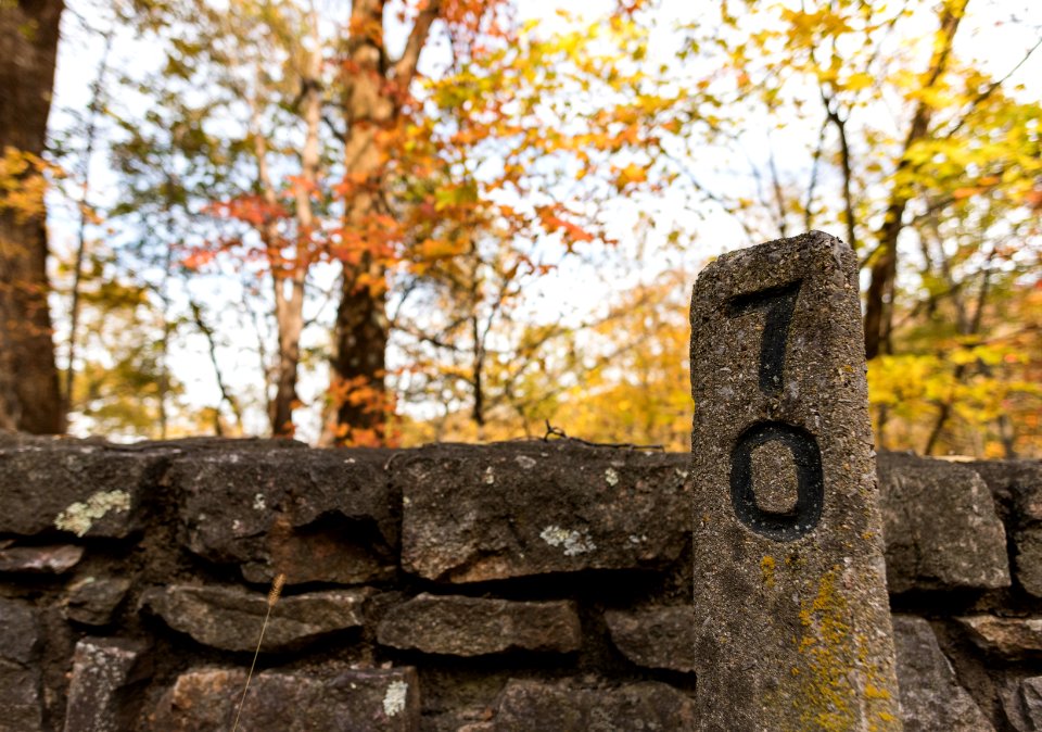 Fall Colors
