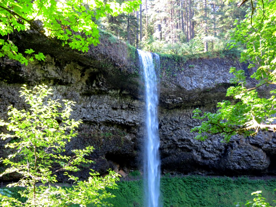 Silver Falls SP in OR