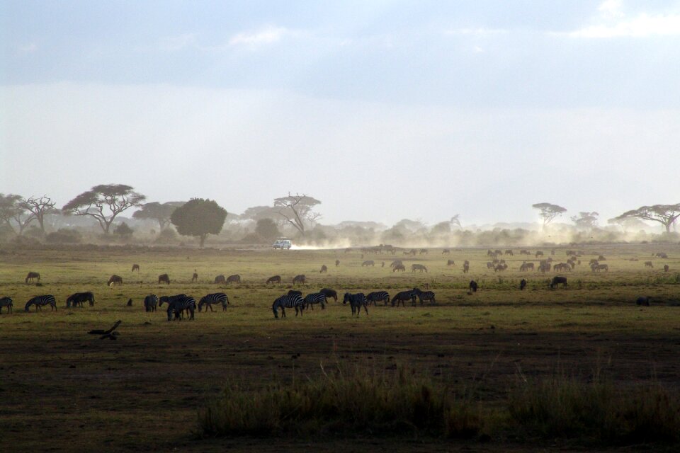 National park nature east africa