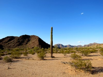 Sonoran Desert NM in AZ