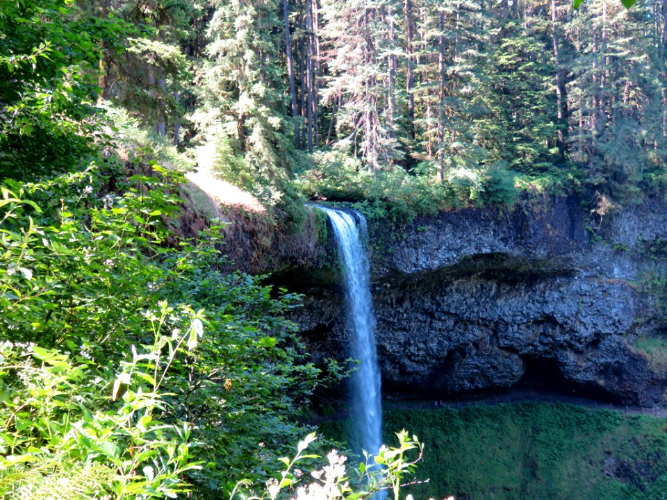 Silver Falls SP in OR
