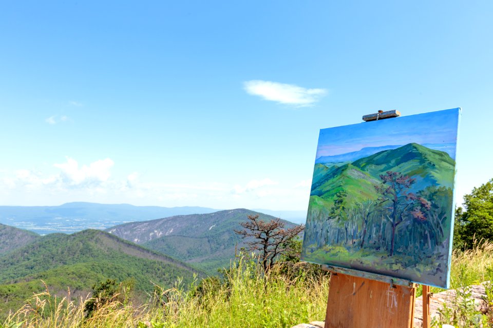 Artist-in-Residence - Summer 2017
