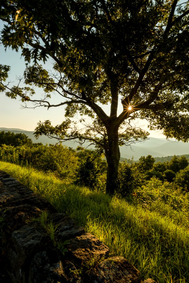 Sunrise - Thornton Hollow