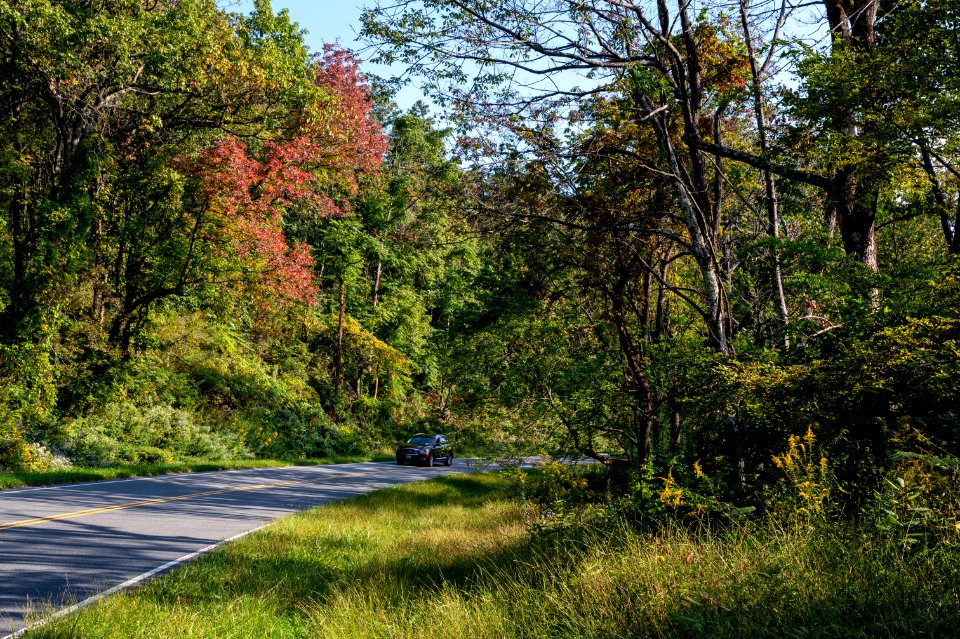 Fall Begins Along Skyline Drive