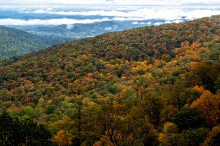 Fall-Colored Ridge photo