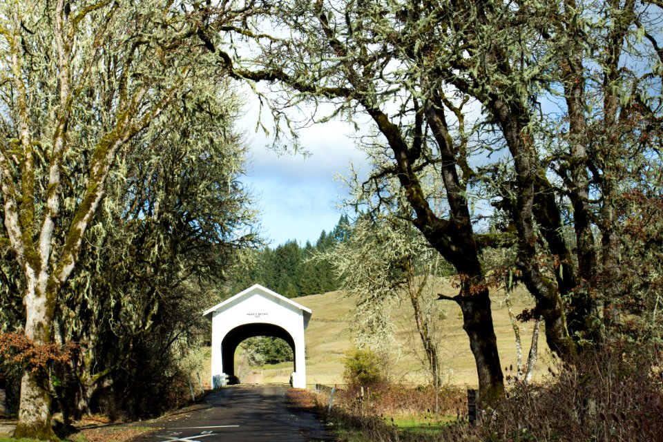 Harris Covered Bridge Oregon