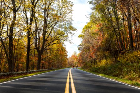Fall - Skyline Drive