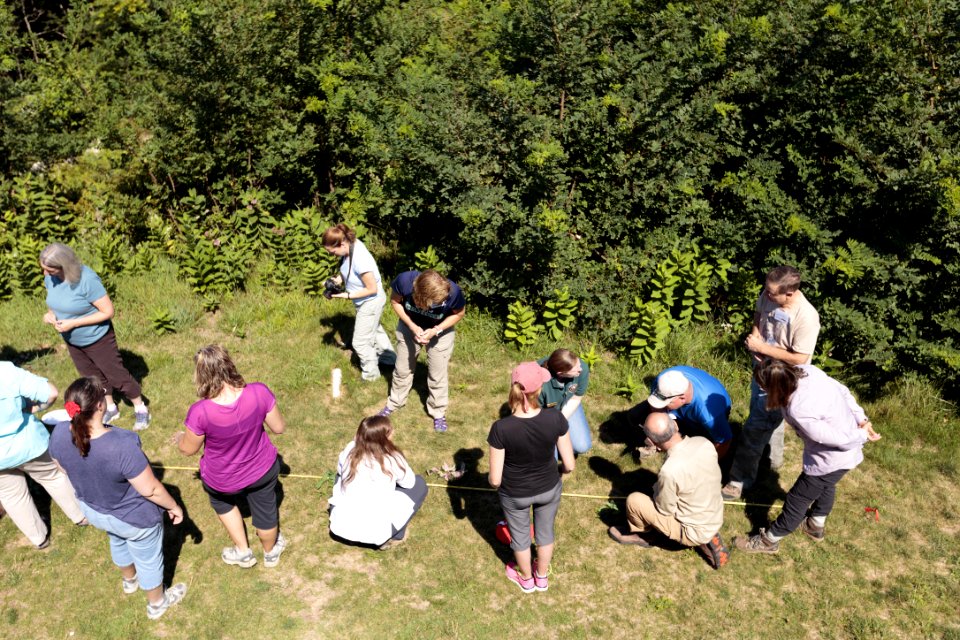Practice Transect