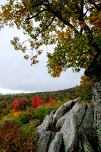 Fall Splendor at Hazel Mountain Overlook photo
