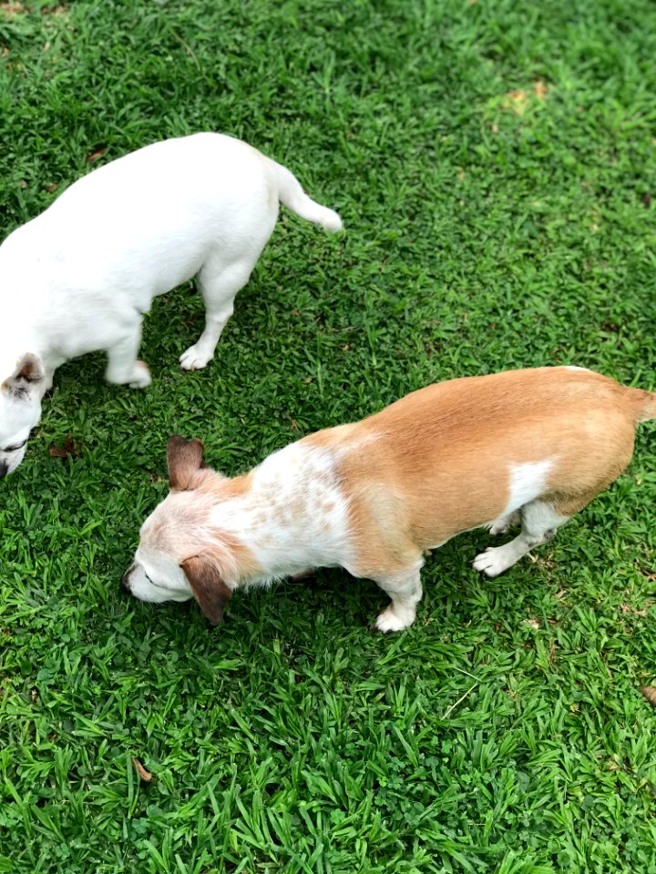 Timmy & Milo
