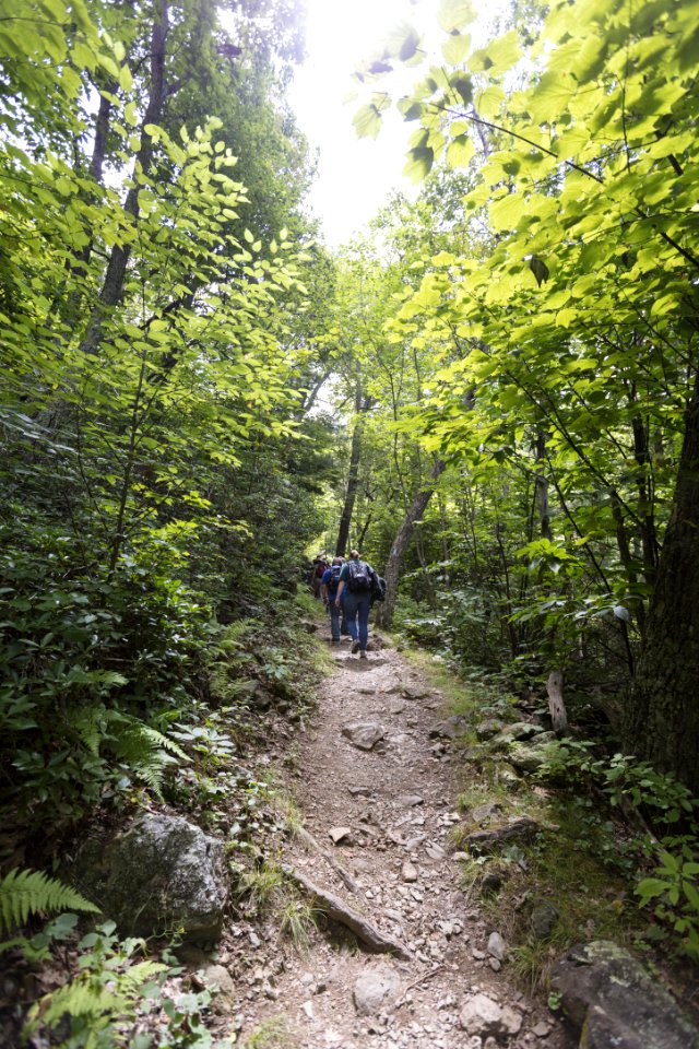 Hiking Lewis Falls