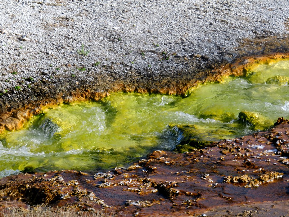 Yellowstone NP in Wyoming