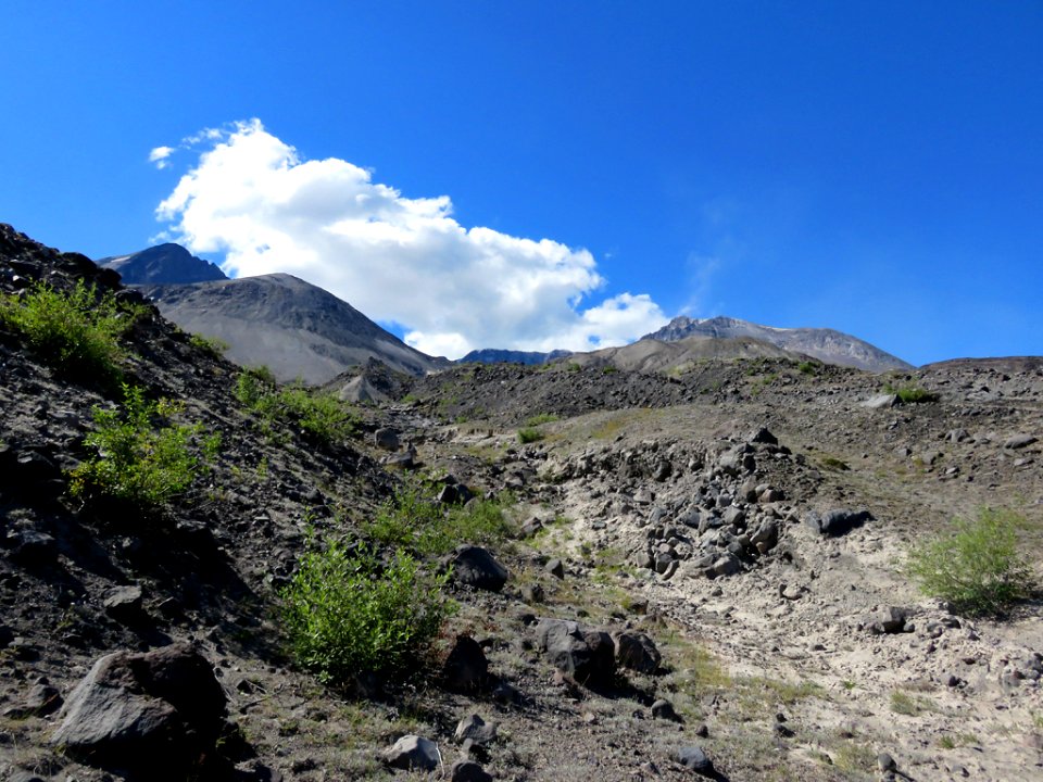 Truman / Loowit Trail at Mt. St. Helens NM in WA