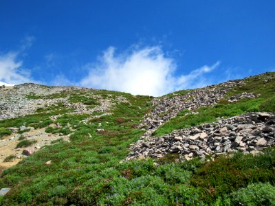 Paradise Skyline Trail at Mt. Rainier NP in WA