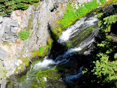 Paradise Skyline Trail at Mt. Rainier NP in WA photo