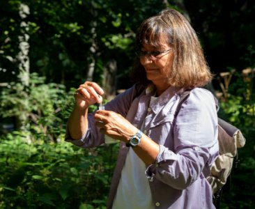 Water Quality Testing Activity