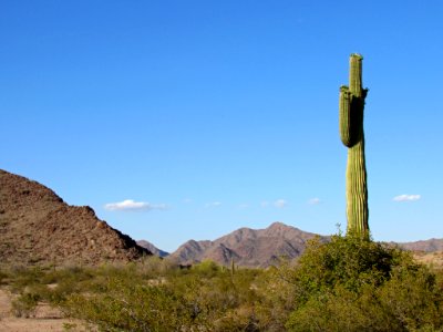 Sonoran Desert NM in AZ