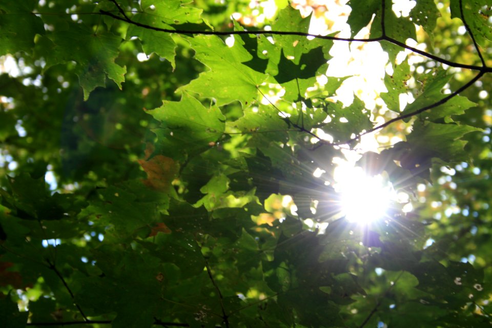 Early fall photo