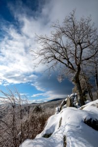 Winter Wonderland at Hazel Mountain photo