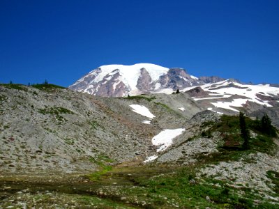 Paradise Skyline Trail at Mt. Rainier NP in WA photo