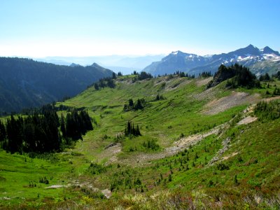 Paradise Skyline Trail at Mt. Rainier NP in WA