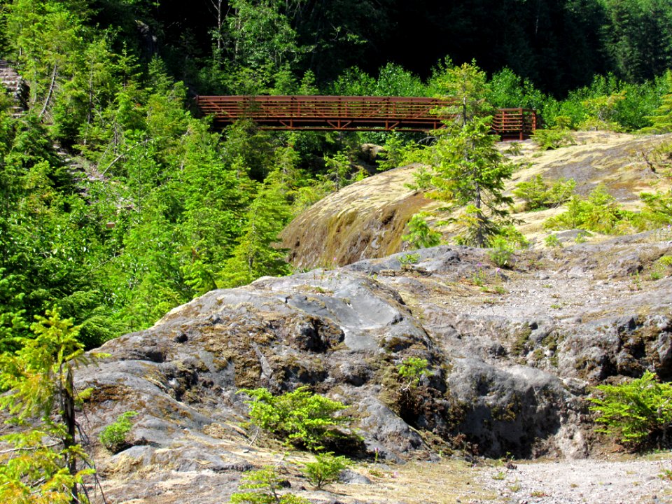 Lava Canyon Trail in Washington