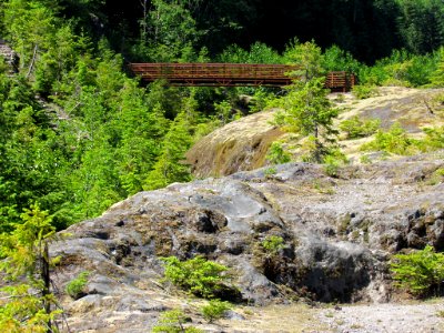 Lava Canyon Trail in Washington photo