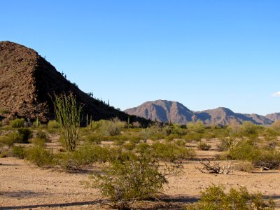 Sonoran Desert NM in AZ