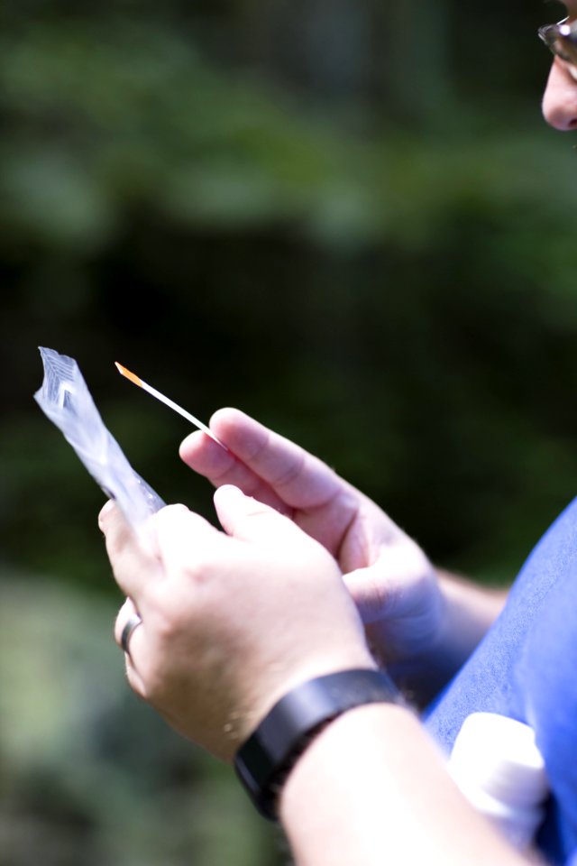 Water Quality Testing Activity