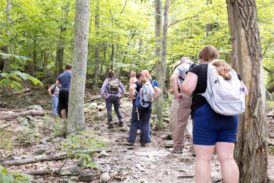 Hiking Lewis Falls