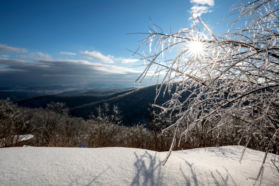 Winter Light Dances on the Snow