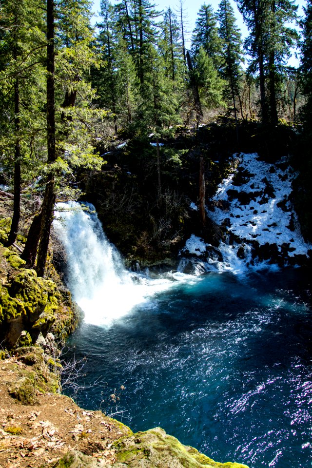 Tamolitch Falls and the Blue Pool, Oregon