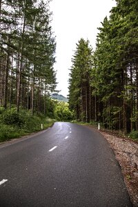 Green nature landscape photo