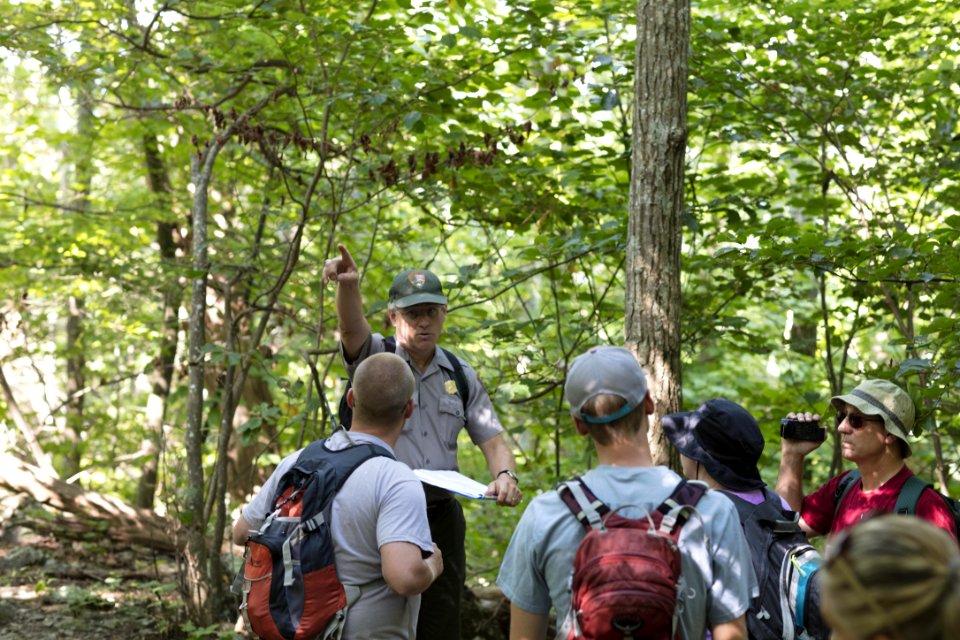 Water Quality Testing Activity
