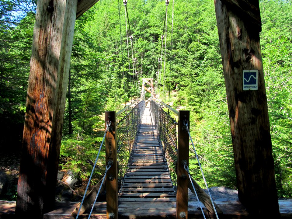 Suspension Bridge on Lava Canyon Trail in Washington