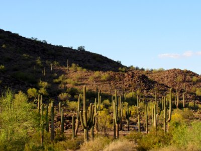 Sonoran Desert NM in AZ