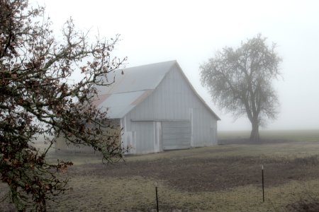 Old metal barn in heavy fog in Oregon photo