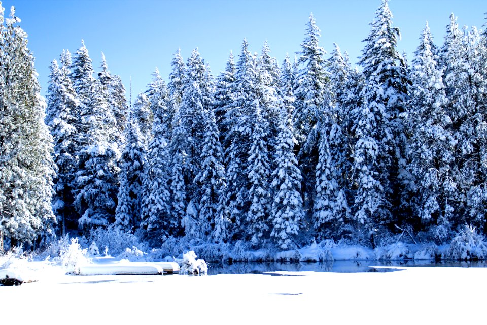 Suttle Lake, Oregon photo